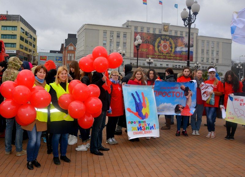 Судебные приставы Мурманской области участвуют в донорском движени