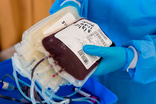 В Вологодской области стартовал донорский марафон «Донорство объединяет»