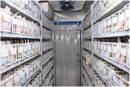 Воронежская областная станция переливания крови подвела итоги за первое полугодие 2017 года