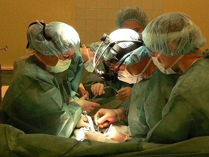 В Томске впервые провели внутриутробное переливание крови плоду 