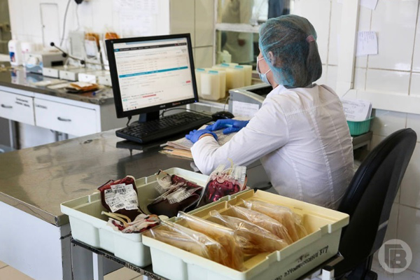 Волгоградские студенты организовали 20 донорских акций в 2023 году