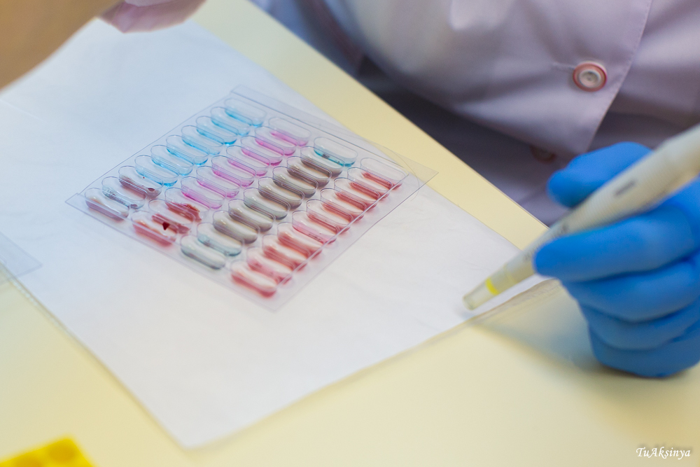 Карта добрых дел в Москве будет обновлена