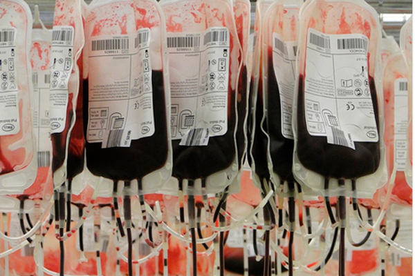 Фонд доноров: на пункты переливания крови в разных районах города пришли больше 250 человек