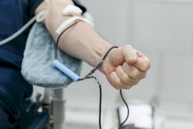 В Свердловской области стало больше доноров