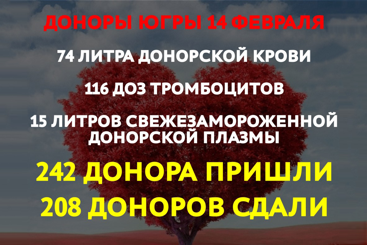 В Югре прошел романтичный День донора