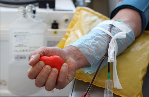 В Ростовской области в июне пройдут донорские субботы