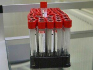 Пункты переливания крови в Петербурге перешли на удобные для работающих горожан часы приема