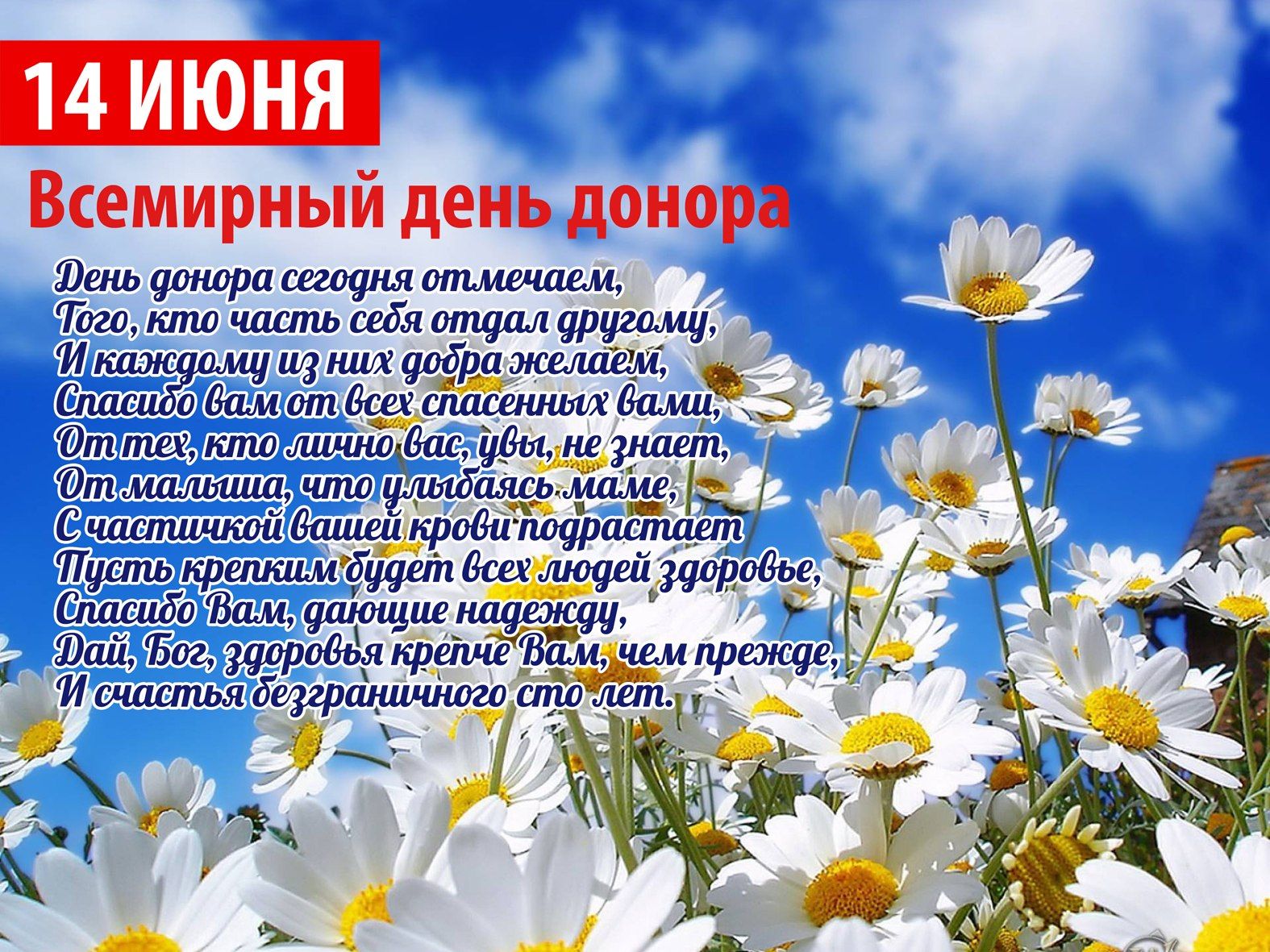 В Мурманске отметили Всемирный день донора крови