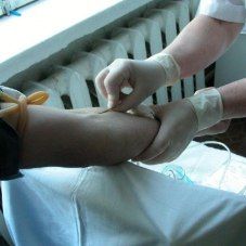 Участники молодежного форума «Гиперборея – 2011» в Карелии смогут сдать кровь