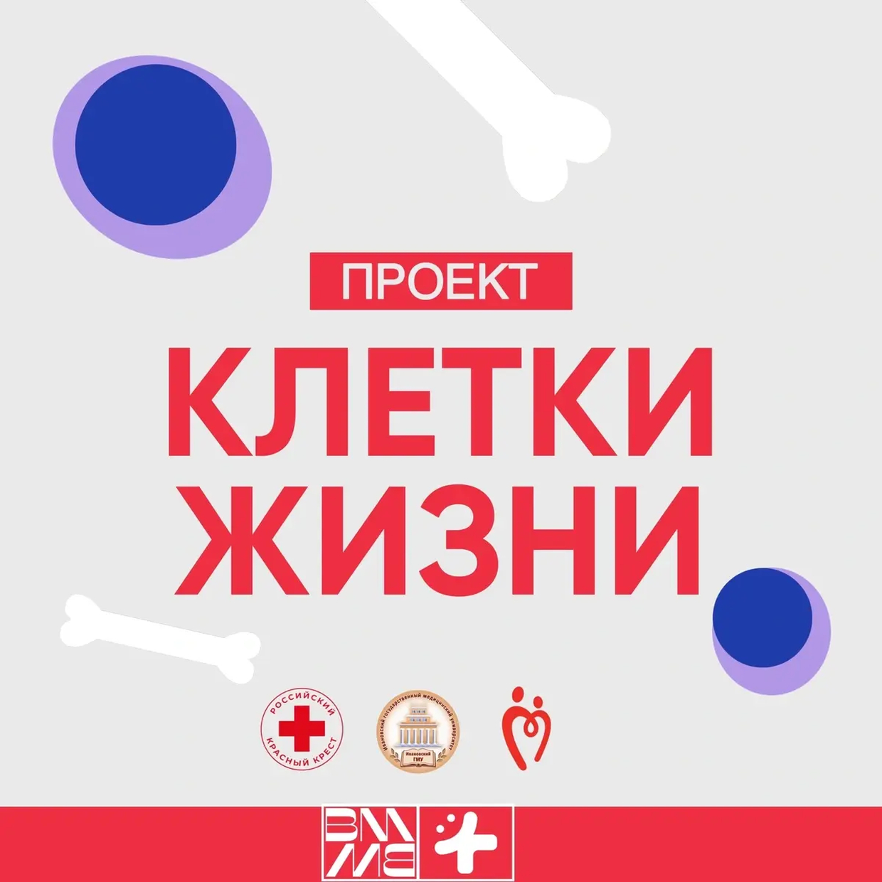 Ивановские волонтёры-медики запускают проект «Клетки жизни»