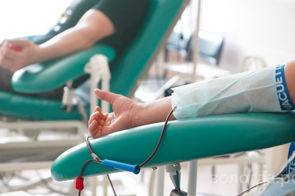 Более 50 литров донорской крови сдали сотрудники вологодской IT-компании