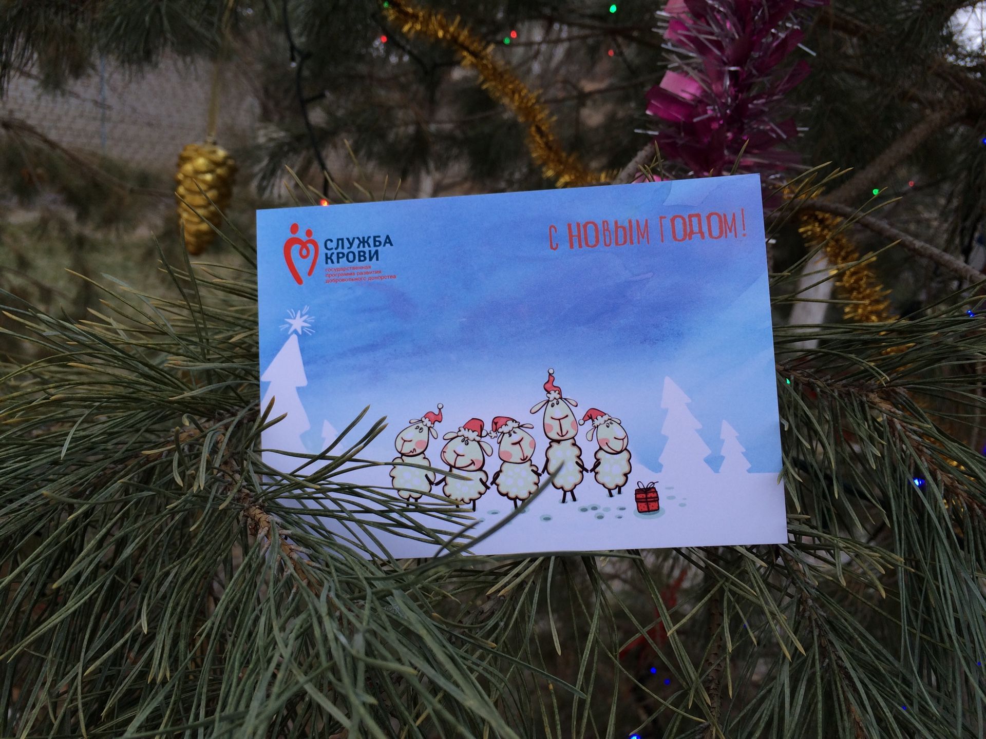 Донорская акция «С Новым годом! Служба крови»
