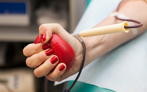 В Саранске активисты движения «Волонтеры Победы» стали участниками региональной донорской акции 