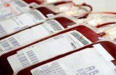 В Кабардино-Балкарии сотрудницы ГИБДД приняли участие в акции «Леди-донор»