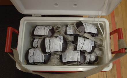 Заместитель председателя Правительства Российской Федерации Александр Хлопонин отметил молодых людей – участников донорской акции