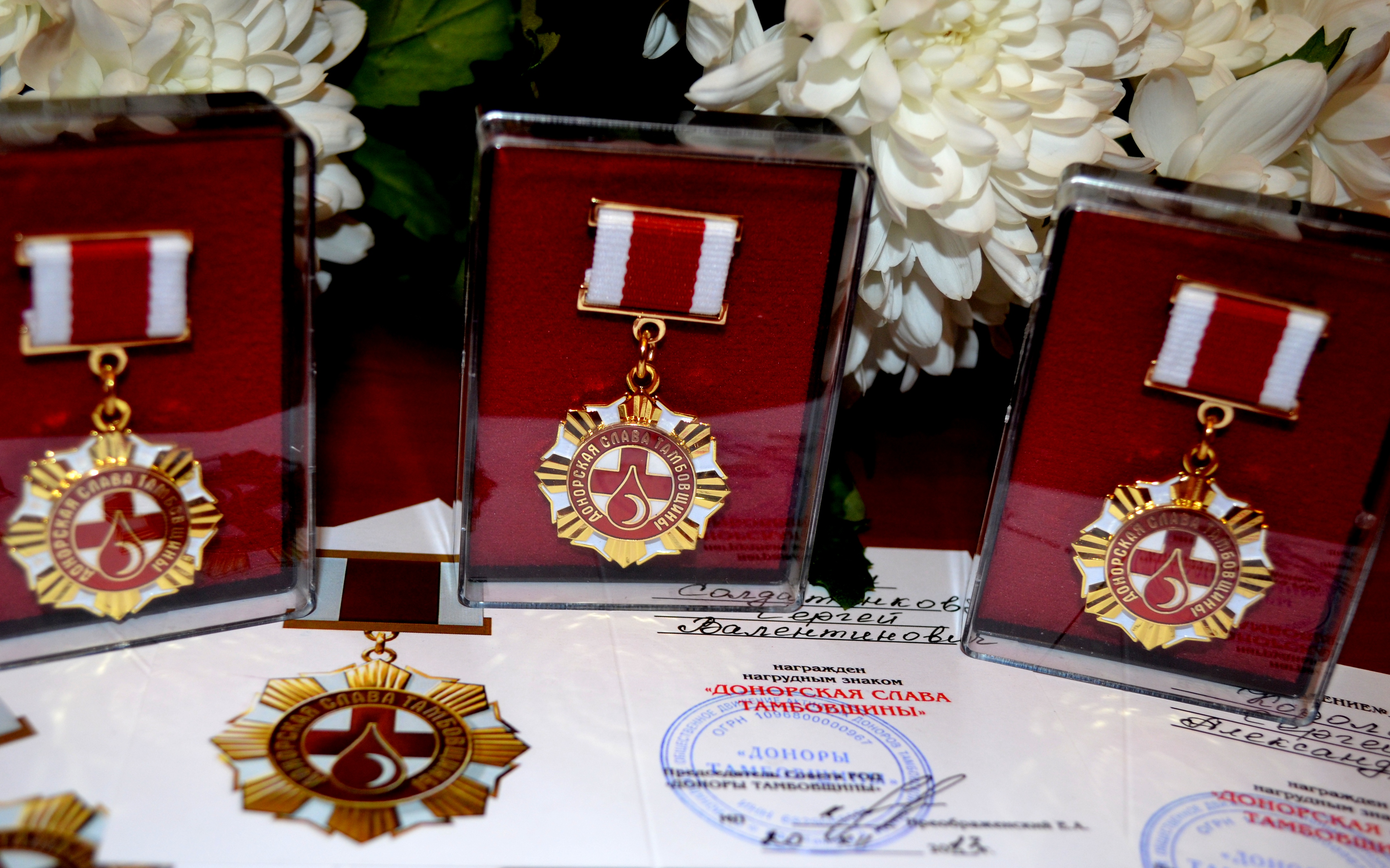 В Тамбове завершился донорский марафон в рамках студенческого проекта «Университет милосердия»