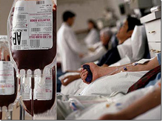 В Калининграде и области половина доноров – курсанты и безработные