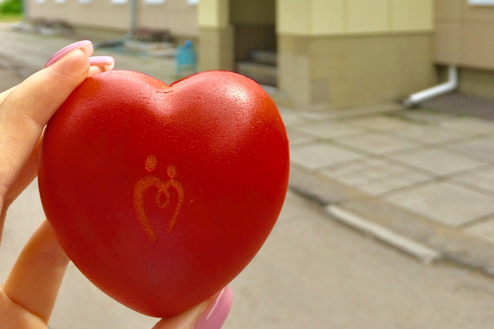 В Иркутской области выбирают лучшее эссе о донорстве крови