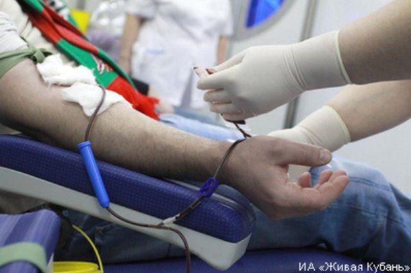 На Кубани растёт количество доноров
