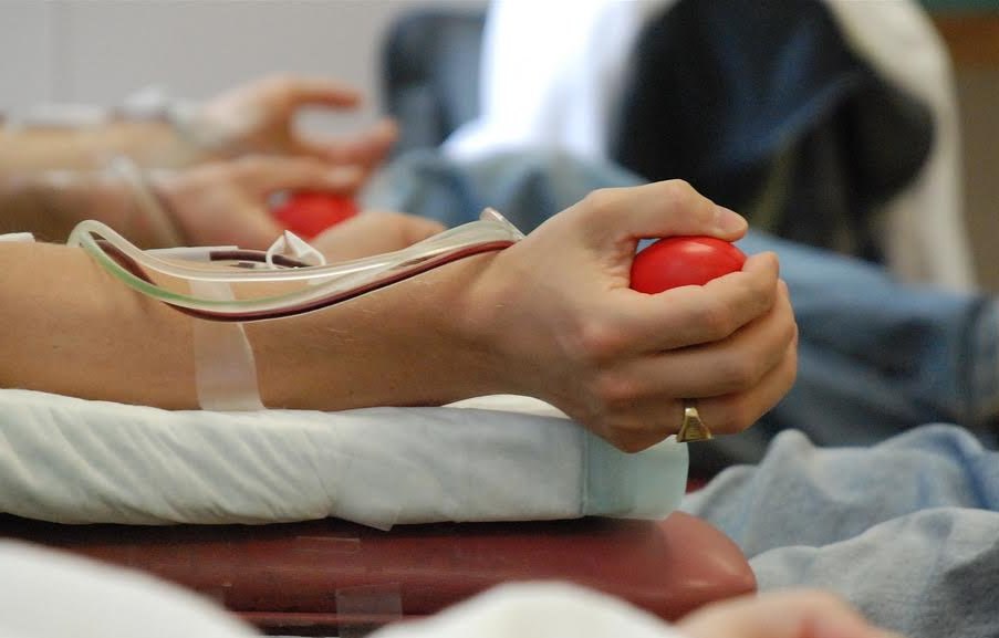 В Хабаровске проходит краевая акция «Никто, кроме человека»