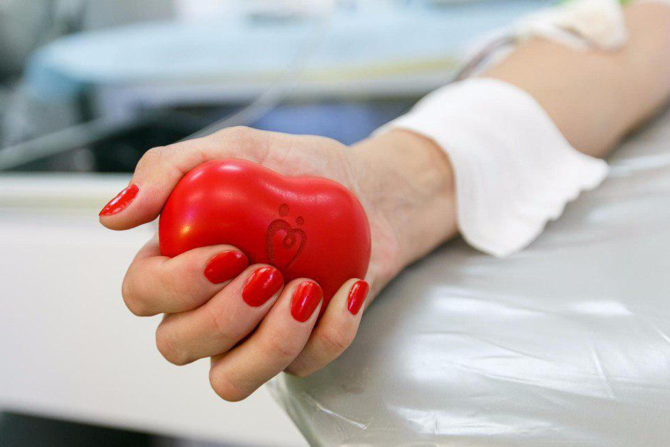 Сотрудники детских садов пополнили банк крови