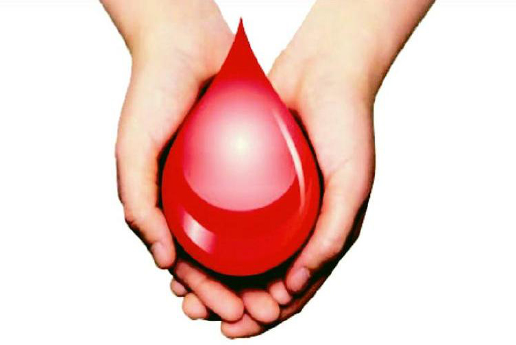 В Рязани завершилась донорская акция «Река жизни»