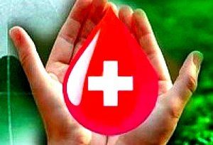 Благотворительная акция собрала 14,5 литра крови.