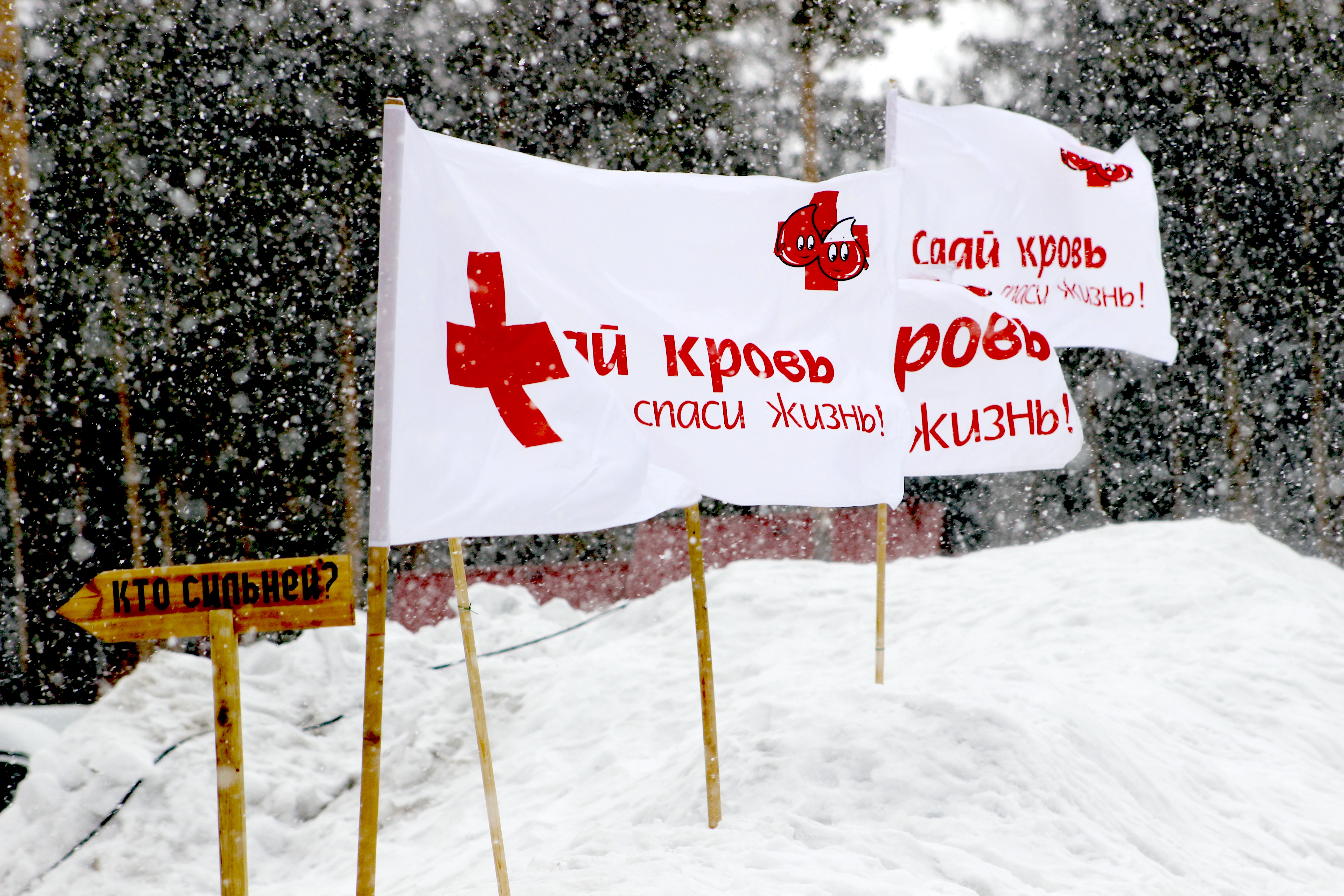 В Кузбассе создан «рекрутинговый центр» для желающих вступить в федеральный регистр доноров костного мозга