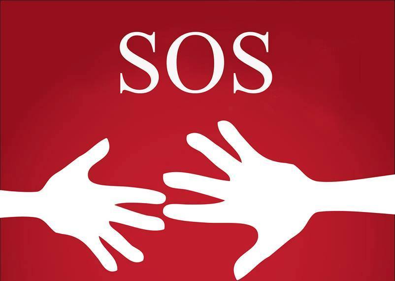 Центру имени Димы Рогачева срочно нужны доноры крови!