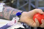 В Санкт-Петербурге состоится акция «Донорская суббота»